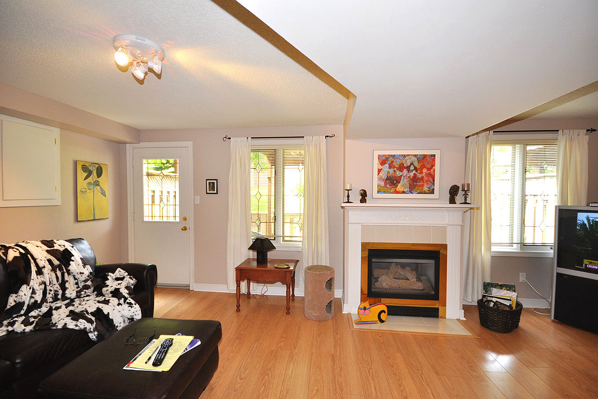 Lower level with walkout & gas fireplace