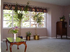 Living room has large sunny window 